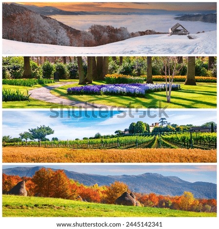 Set of beautiful panoramic views of the four seasons. Stunning landscapes of foggy mountains, green countryside, blooming flowers in botanical garden and red leaf forest arranged in a square.