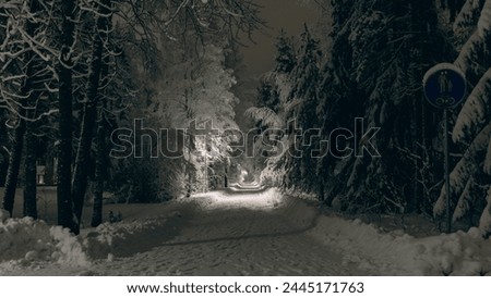 snowy night street lit with streetlights