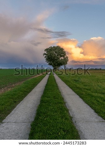 Rainclouds and a rural road near Seehof, Mecklenburg-Western Pomerania, Germany Royalty-Free Stock Photo #2445173283