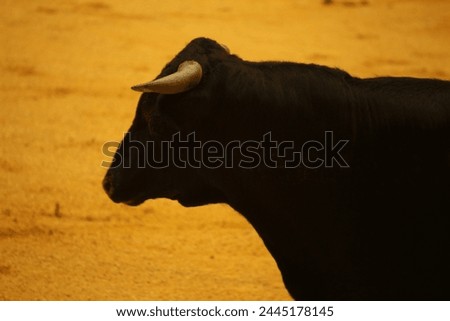 novillero, capote, sombrero cordones, bull, bullfight, bullfighter, bullfighting, bullfighting, bullfighter, bullfighting, bullfighting, bank holidays, cordobes hat Royalty-Free Stock Photo #2445178145