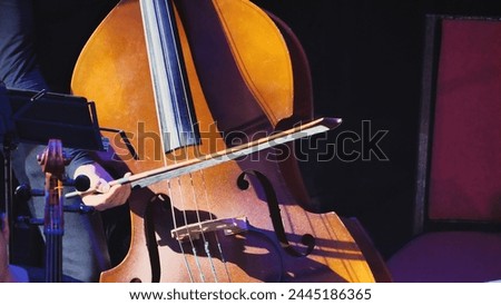 The contrabass stands vertically with its deep brown wooden body, four strings, and characteristic curved silhouette