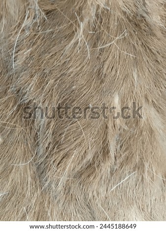 brown hairy original goat skin