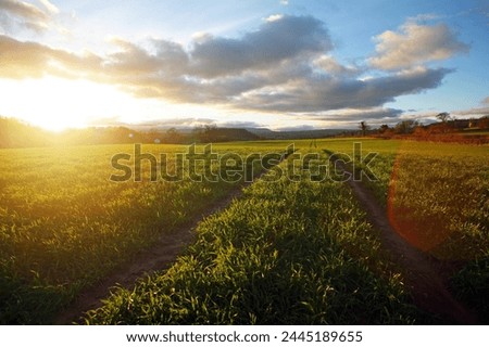 By-way through a field, Monmouthshire, Wales, United Kingdom, Europe
