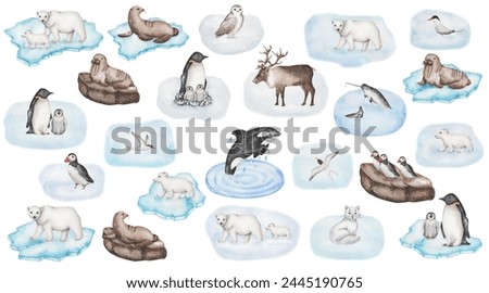 Watercolor set of illustrations. Hand painted animals of Arctic and Antarctica. Polar bear, killer whale, reindeer, fox, narwhal, fur seal, walrus. Puffin, tern, penguin, snow owl. Isolated clip art