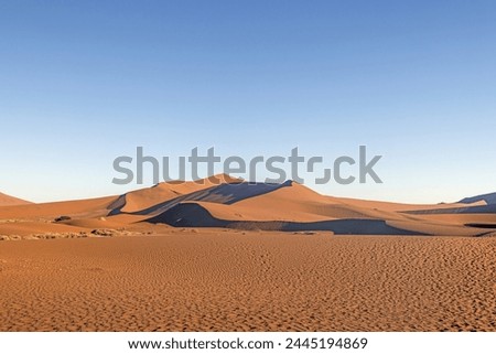 Panoramic picture of the red dunes of the Namib Desert in Namibia against a blue sky in the evening light in summer
