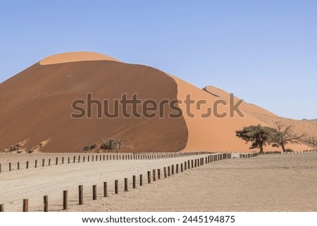 Picture of the famous Dune 45 in Namibia's Soosusvlei National Park during the day in summer against a blue sky