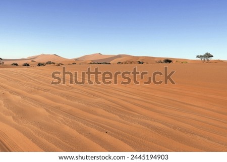 Panoramic picture of the red dunes of the Namib Desert in Namibia against a blue sky in the evening light in summer