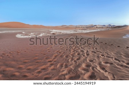 defaultPanoramic picture of the Namib Desert near Sossusvlei in Namibia in the first morning light at sunrise in summer