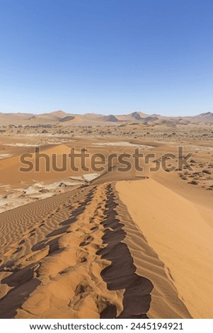 Panoramic picture from the top of the Bag Daddy Dune in Sossusvlei of the Namib Desert landscape against a blue sky in the morning