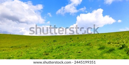 Hill with green grass and blue sky. Somewhat reminiscent of the standard screensaver on the Windows Xp desktop.