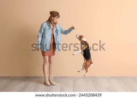 Young woman in casual attire playing with cute beagle dog on beige background