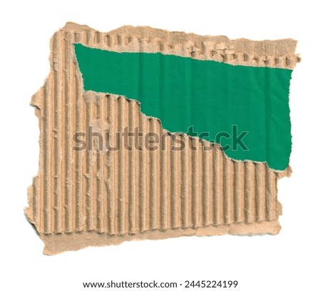Torn piece of cardboard, background for banner. Blank paper piece message, reminder, sign, tag, label. Corrugated ripped cardboard empty green background. Design element. Isolated on white. Copy space