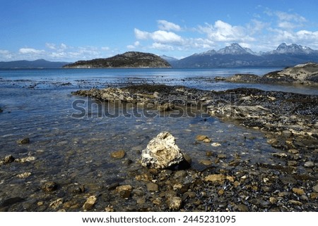 Coastal scene in the Tierra del Fuego National Park, Tierra del Fuego, Argentina, South America Royalty-Free Stock Photo #2445231095