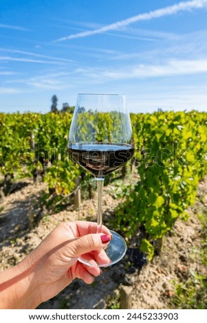 Tasting of red Bordeaux wine, Merlot or Cabernet Sauvignon red wine grapes on cru class vineyards in Pomerol, Saint-Emilion wine making region, France, Bordeaux Royalty-Free Stock Photo #2445233903