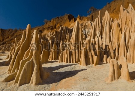 Red Tsingys, strange looking sandstone formations, near Diego Suarez (Antsiranana), Madagascar, Africa Royalty-Free Stock Photo #2445251917