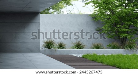 Modern home interior design with zen garden. Luxury house with empty concrete wall with sun light, green tree and outdoor plants.