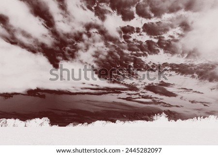 Beautiful landscape, dramatic sky with clouds and field with trees, mystical atmosphere, cold weather, natural background, inverted photo