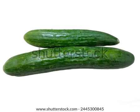cucumbers (burpless, seedless, hothouse, gourmet, greenhouse or cucumber) isolated on white background. Royalty-Free Stock Photo #2445300845