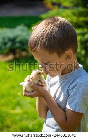 happy little boy holding a chicken in his hands on the background of nature.