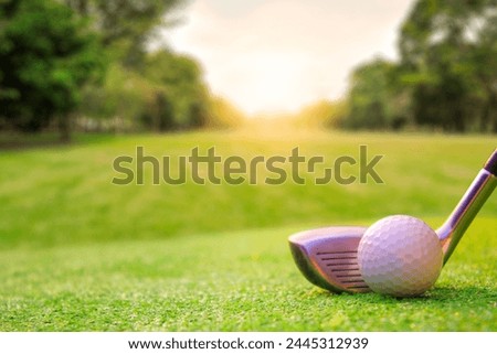 The atmosphere of playing golf in the picture includes playing equipment such as golf clubs, golf balls, grass and sunlight.