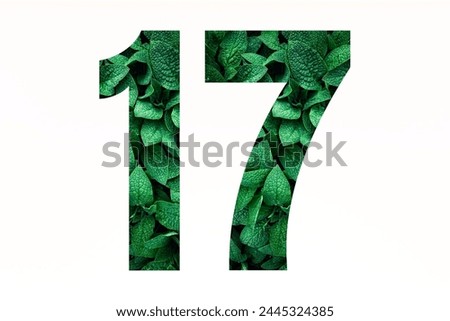 Number seventeen made of green leaves isolated on white background. Font style of numbering. Nature concept of number 17 Royalty-Free Stock Photo #2445324385