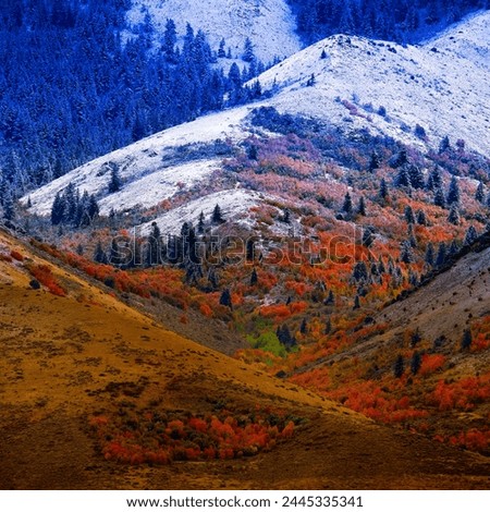 Mountain landscape in late fall with autumn tree colors and first snow