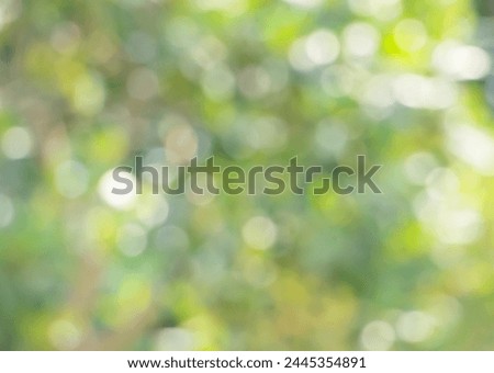Natural blurred green leaves and beautiful bokeh background.