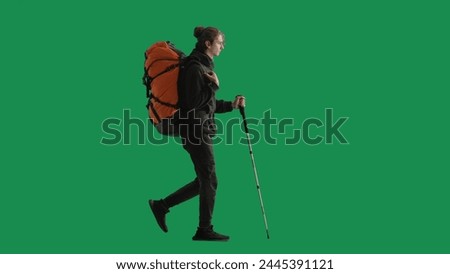 Tourist traveling using trekking poles on a hike. Full length man with backpack on his back walking on green screen. The concept of hiking. Side view.
