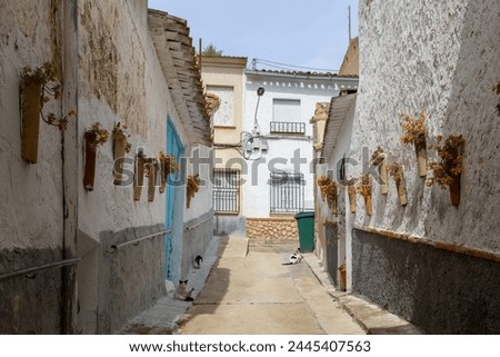 beautiful street  of Jorquera, Albacete autonomous community of Castilla-La Mancha, Spain. Royalty-Free Stock Photo #2445407563