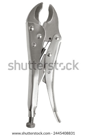 Locksmith clamp, pincer, clamping pincer. Cut out on a blank background Royalty-Free Stock Photo #2445408831