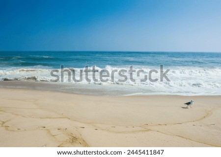 Long sandy beach in the Hamptons, Long Island, New York State, United States of America, North America Royalty-Free Stock Photo #2445411847