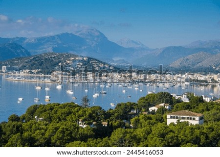 View over the bay of Port de Pollenca with many sailing boats, Mallorca, Balearic Islands, Spain, Mediterranean, Europe 