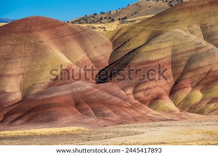 Multicoloured strata in the Painted Hills unit in the John Day Fossil Beds National Monument, Oregon, United States of America, North America Royalty-Free Stock Photo #2445417893