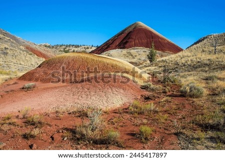 Multicoloured strata hill in the Painted Hills unit in the John Day Fossil Beds National Monument, Oregon, United States of America, North America Royalty-Free Stock Photo #2445417897