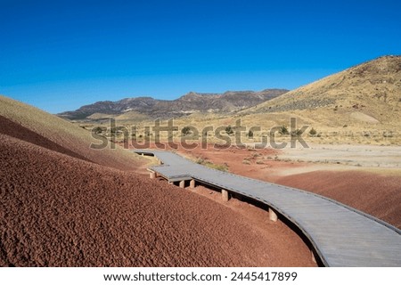 Multicoloured strata hill in the Painted Hills unit in the John Day Fossil Beds National Monument, Oregon, United States of America, North America Royalty-Free Stock Photo #2445417899