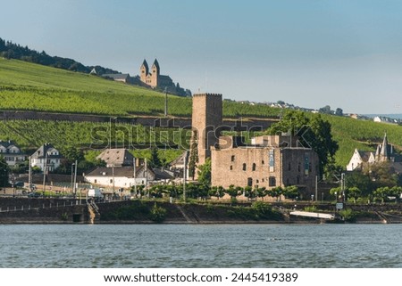 View over the Bruemserburg in Ruedesheim on the River Rhine, Rhine Gorge, UNESCO World Heritage Site, Hesse, Germany, Europe Royalty-Free Stock Photo #2445419389