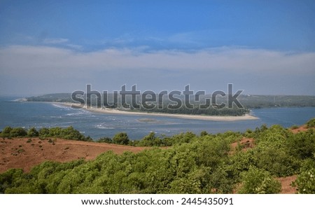 24th January 2024: A beautiful view of Morjim beach with a clear blue sky in Goa, India.