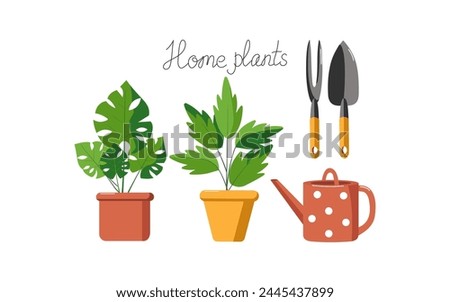 A set of gardening tools, a watering can, caring for house plants. Potted plant, flower. Colored flat vector illustration. Floristry and gardening, hobby. Home, comfort. Royalty-Free Stock Photo #2445437899