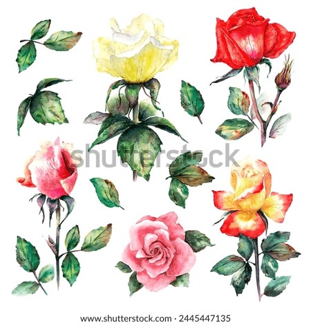Scenic floral clip art from a set of colorful roses and leaves