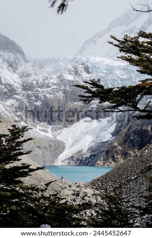 Glaciar Piedras Blancas El Chalten Patagonia Argentina