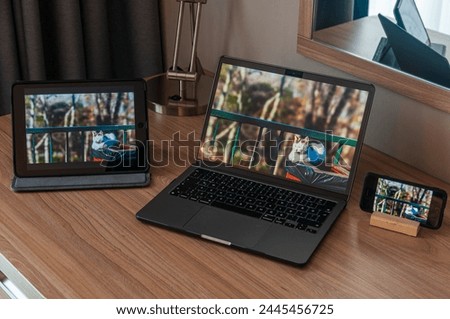 Laptop, cell phone and tablet pictures for technology themed photos. 