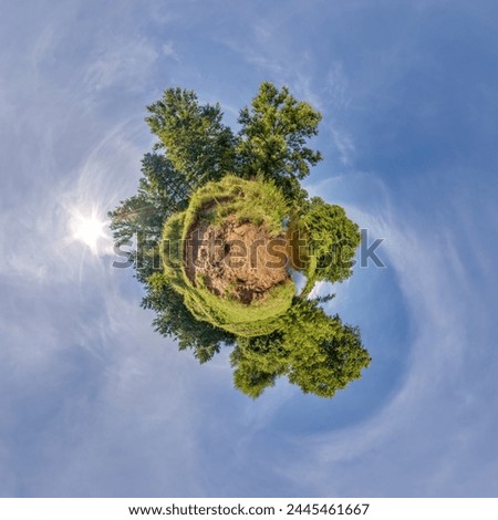 tiny planet transformation of spherical panorama 360 degrees. Spherical abstract aerial view with trees in forest with clumsy branches in blue sky. Curvature of space. Royalty-Free Stock Photo #2445461667