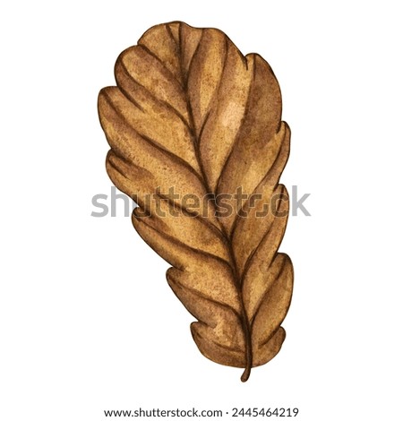 Watercolour illustration green decorative oak leaf isolated on white background. Clip art for postcard, wedding invitation, greeting.
