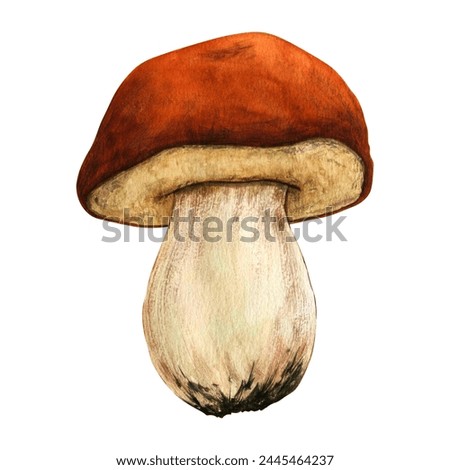 Watercolor autumn composition with mushroomsisolated on white background. Hand painted illustration for the design of stationery, posters, wallpaper. Wildlife clip art for print, fabric or background.