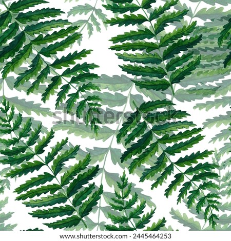 Seamless pattern fern watercolor hand painted illustration in green colors, greenery branch, twig, stem, forest plant isolated on white background for wall art. Clip art for design.