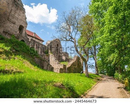 A scenic pathway leads to the entrance of the historic Pecka Castle, flanked by ancient walls and vibrant green foliage under a clear blue sky. Czechia Royalty-Free Stock Photo #2445464673