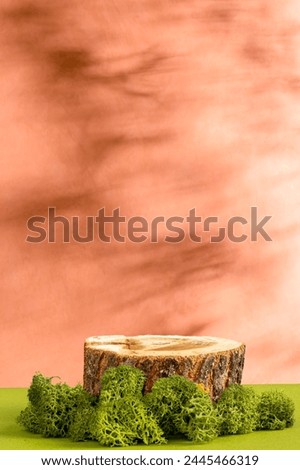 Wooden saw cut, round podium with green moss on a dark orange background. Still life for the presentation of products. Nature-inspired graphic design. Vertical photo
