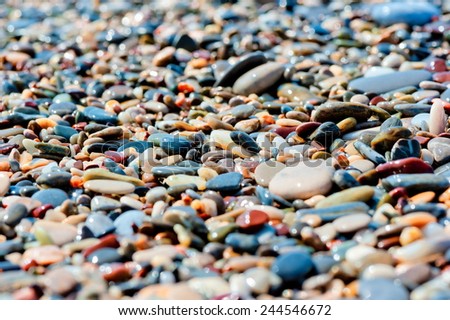 pebbles of different colors on the beach closeup