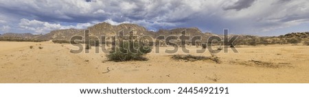 Panoramic picture of the Spitzkoppe in Namibia during the day against a blue sky in summer