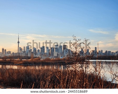 Toronto Skyline View from Tommy Thompson Park
